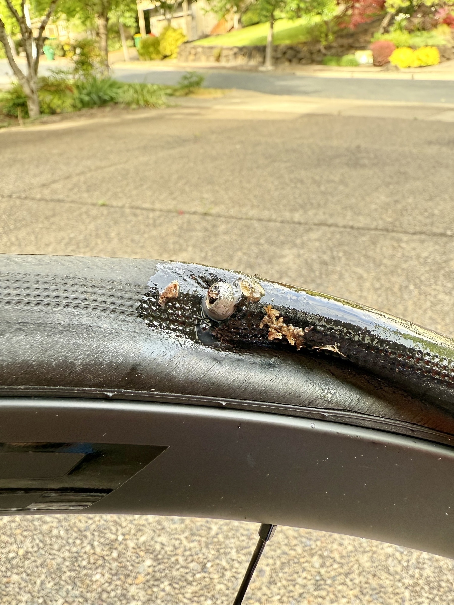 Photo of a bike tire in the foreground with a  bolt embedded in the tire.